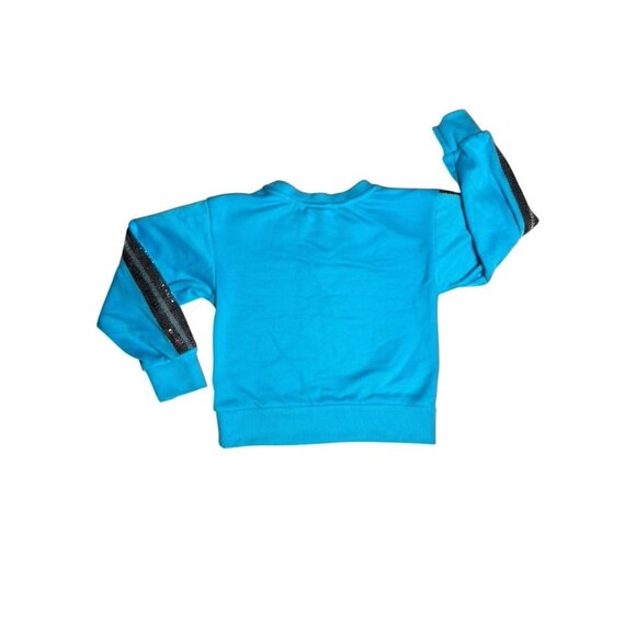 Lot Of 3 Little Girls Tops 2 Tees And 1 Sweatshirt Size XS 4/5 New With Tags - Picture 12 of 15